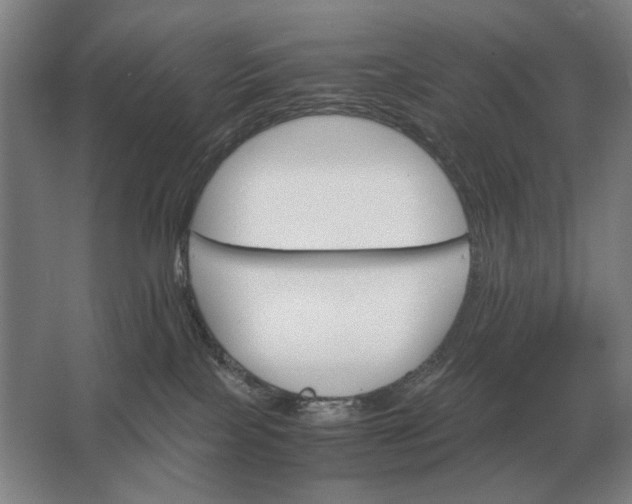 X0000062920089200601271816