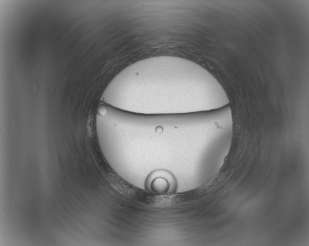 X0000062920090200601271816