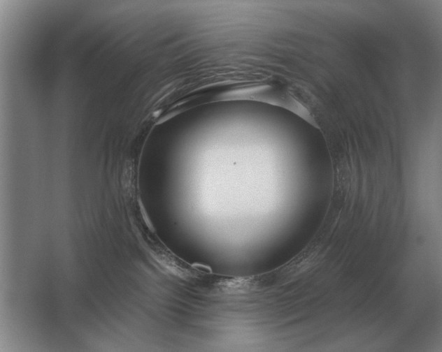 X0000062920092200601271816