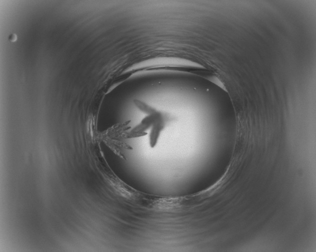 X0000062920094200601271816