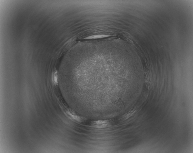 X0000062920095200601271816