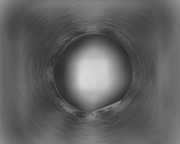 X0000062920096200601271816