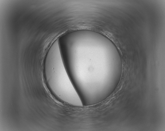 X0000062920097200601271816