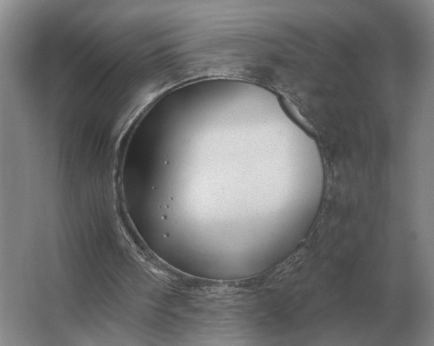 X0000062920098200601271816