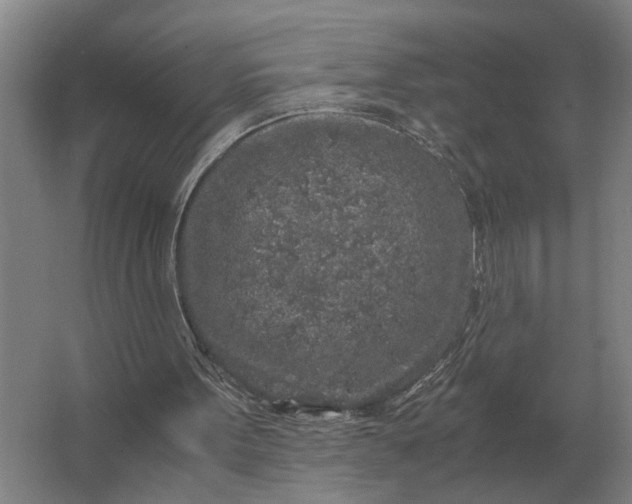 X0000062920099200601271816