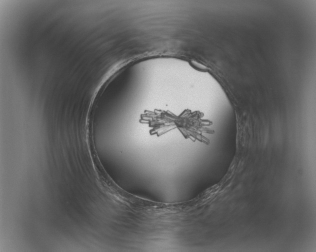 X0000062920100200601271816