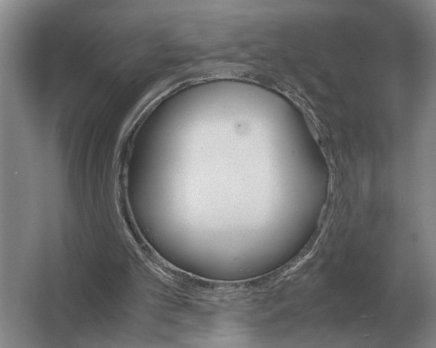 X0000062920101200601271816