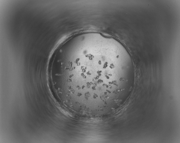 X0000062920102200601271816