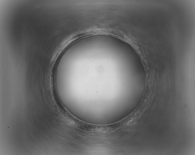 X0000062920103200601271815