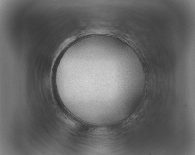 X0000062920104200601271815