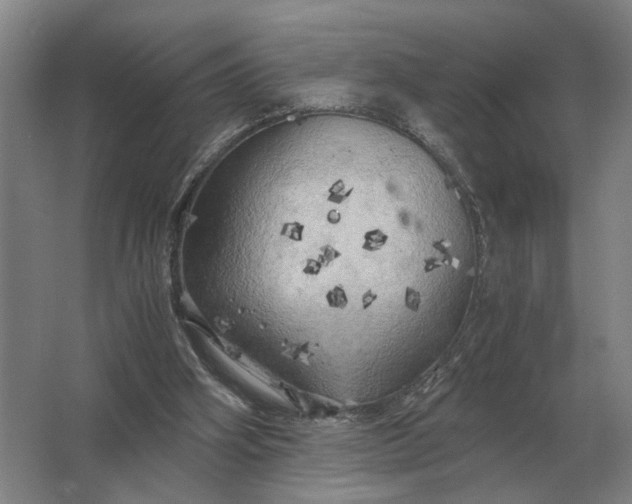 X0000062920106200601271815