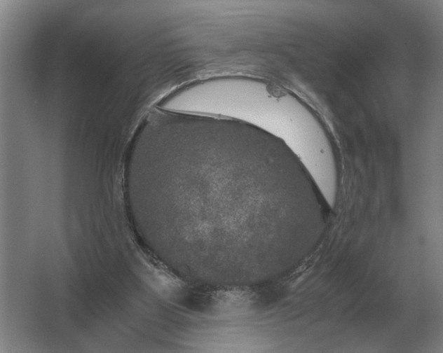 X0000062920107200601271815