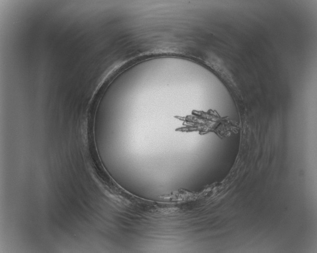 X0000062920108200601271815