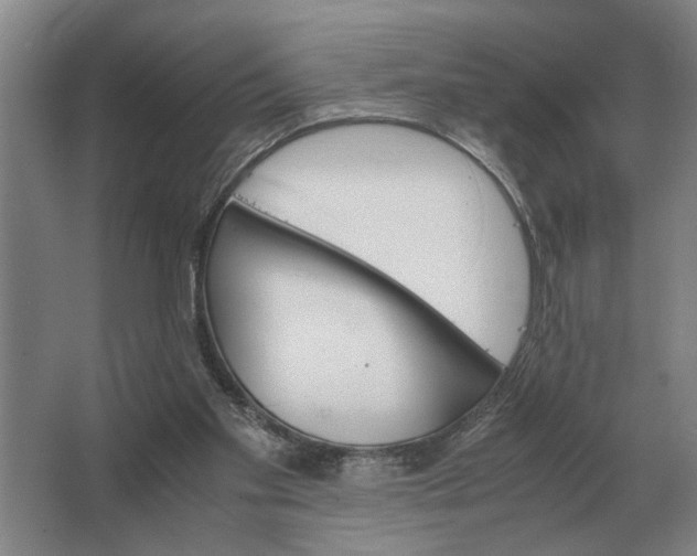 X0000062920109200601271815