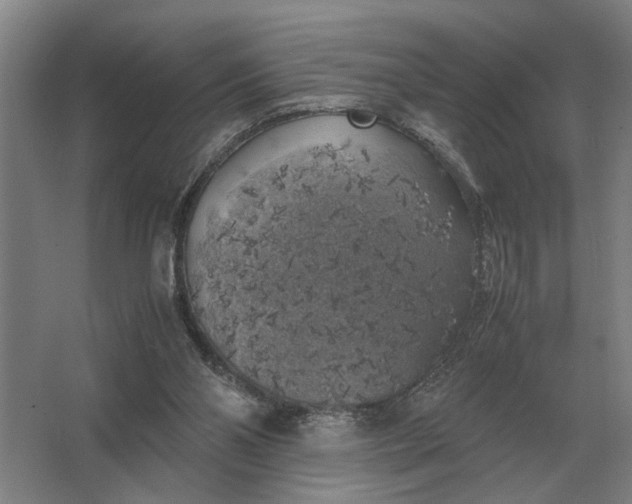 X0000062920110200601271815