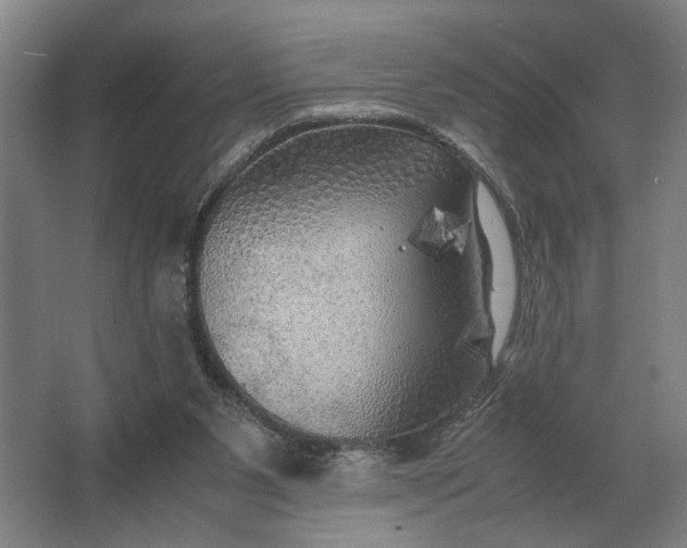 X0000062920111200601271815