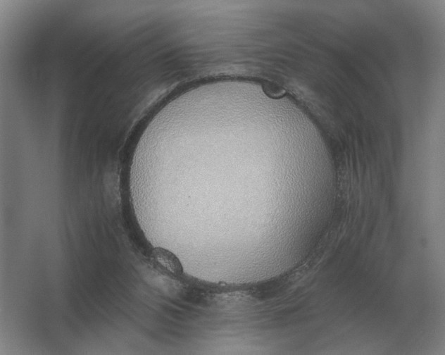 X0000062920112200601271815