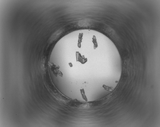 X0000062920116200601271815