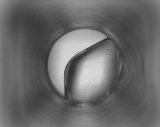 X0000062920117200601271815