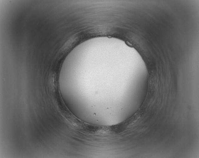 X0000062920119200601271815