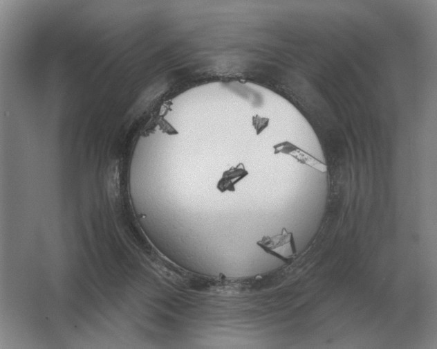 X0000062920120200601271815