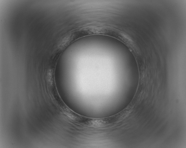 X0000062920121200601271815