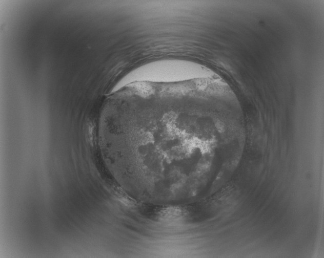 X0000062920123200601271815