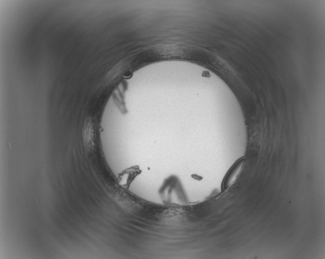 X0000062920124200601271815