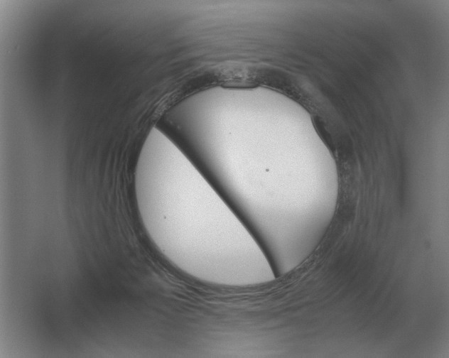 X0000062920125200601271815