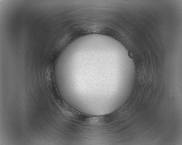 X0000062920126200601271815