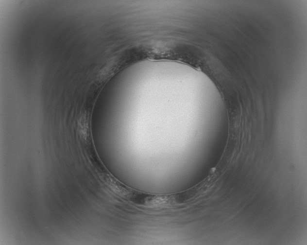 X0000062920129200601271815