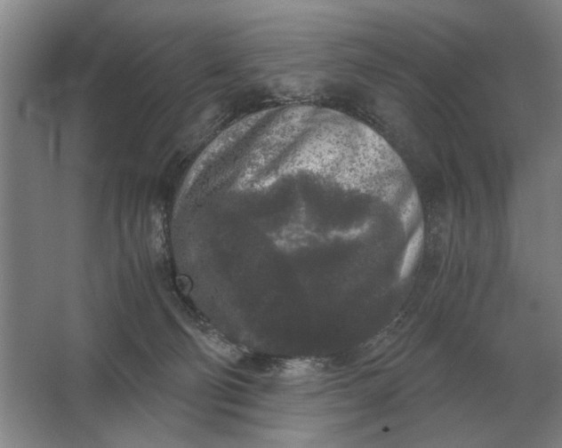 X0000062920130200601271815