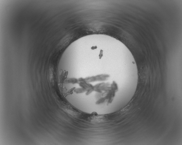 X0000062920132200601271815