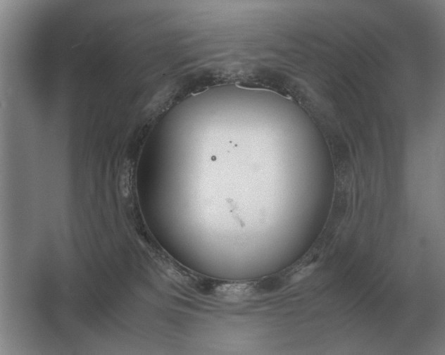 X0000062920133200601271815