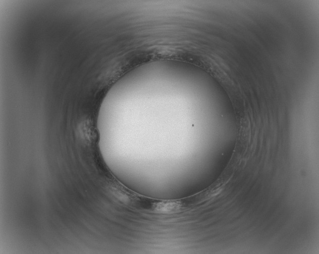 X0000062920135200601271815