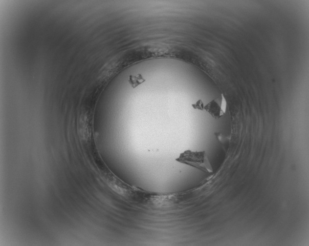 X0000062920136200601271815