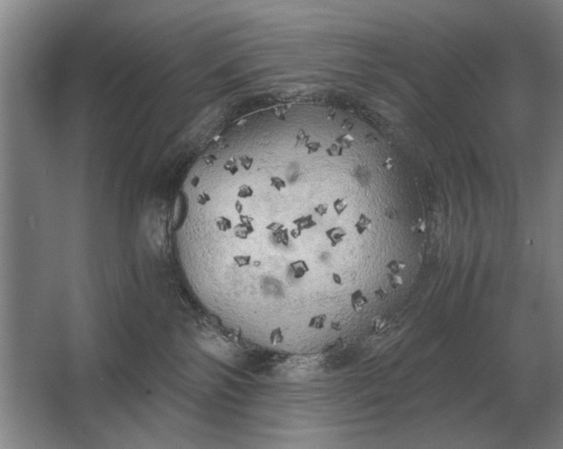 X0000062920138200601271815