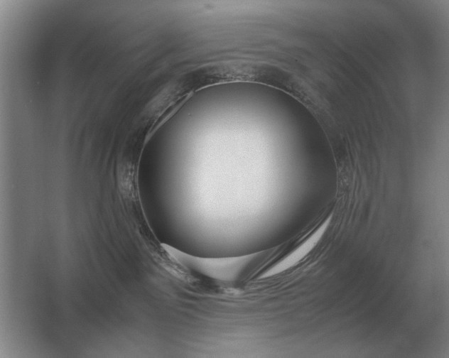 X0000062920141200601271815