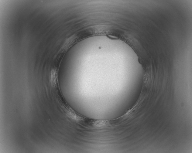 X0000062920142200601271815