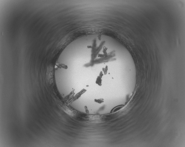 X0000062920144200601271815