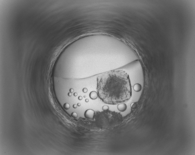 X0000062920145200601271814