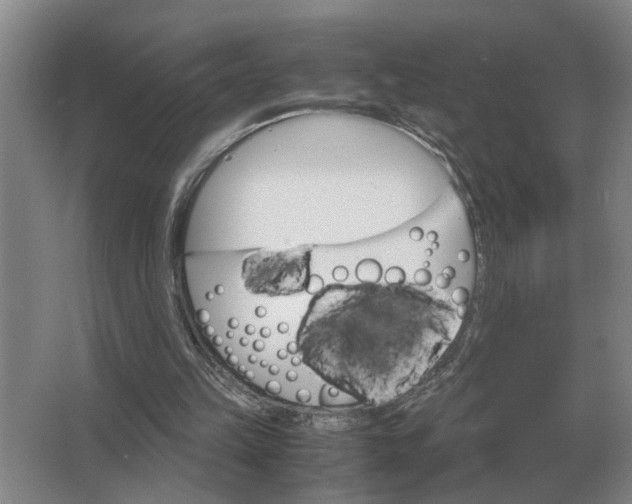 X0000062920149200601271814