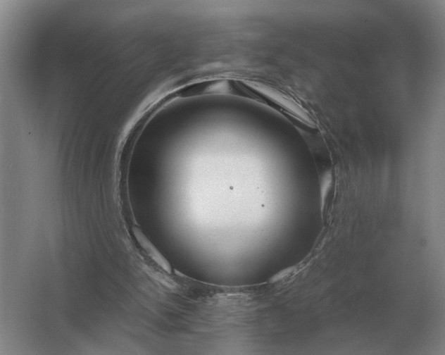 X0000062920150200601271814