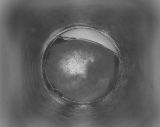 X0000062920151200601271814