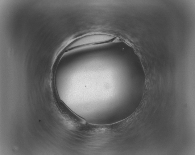 X0000062920152200601271814