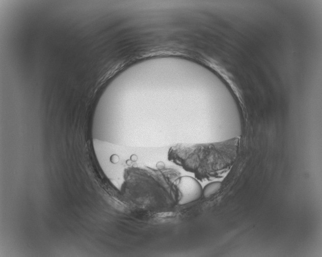 X0000062920153200601271814