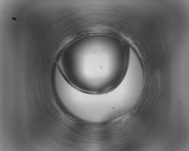 X0000062920154200601271814