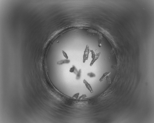 X0000062920155200601271814