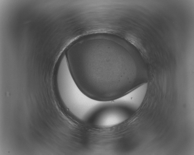 X0000062920156200601271814