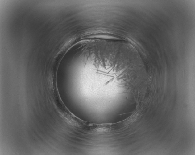 X0000062920158200601271814